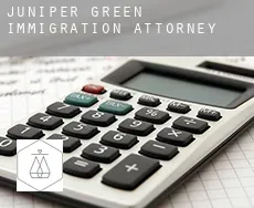 Juniper Green immigration attorney