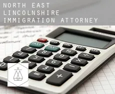 North East Lincolnshire  immigration attorney