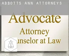 Abbotts Ann  attorneys
