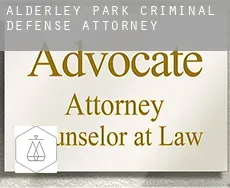 Alderley Park  criminal defense attorney