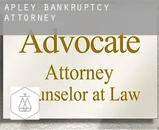 Apley  bankruptcy attorney