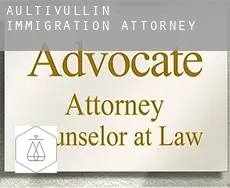 Aultivullin  immigration attorney