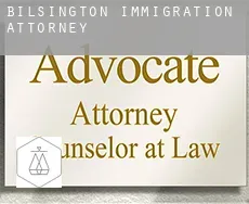Bilsington  immigration attorney