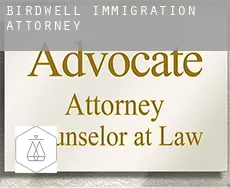 Birdwell  immigration attorney