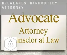 Brewlands  bankruptcy attorney
