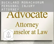 Buckland Monachorum  personal injury attorney