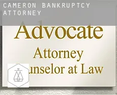 Cameron  bankruptcy attorney