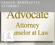 Cawood  bankruptcy attorney