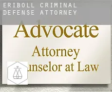 Eriboll  criminal defense attorney
