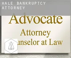 Hale  bankruptcy attorney