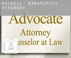 Holwell  bankruptcy attorney