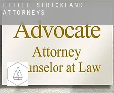 Little Strickland  attorneys