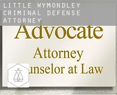 Little Wymondley  criminal defense attorney