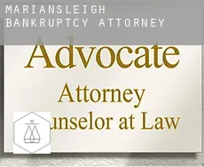 Mariansleigh  bankruptcy attorney