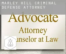 Marley Hill  criminal defense attorney