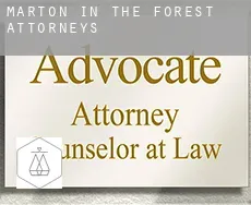Marton in the Forest  attorneys