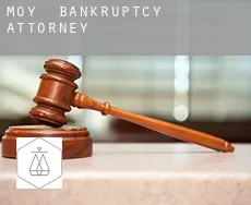 Moy  bankruptcy attorney