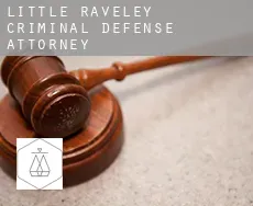 Little Raveley  criminal defense attorney