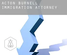 Acton Burnell  immigration attorney