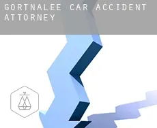 Gortnalee  car accident attorney