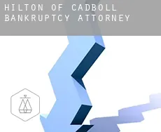 Hilton of Cadboll  bankruptcy attorney