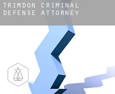Trimdon  criminal defense attorney