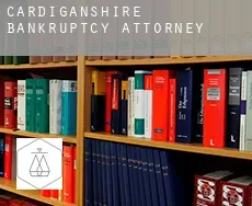 Cardiganshire County  bankruptcy attorney