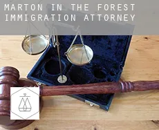 Marton in the Forest  immigration attorney