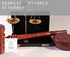Dromore  divorce attorney