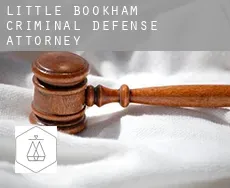Little Bookham  criminal defense attorney