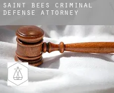 Saint Bees  criminal defense attorney