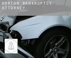 Horton  bankruptcy attorney