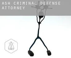 Ash  criminal defense attorney