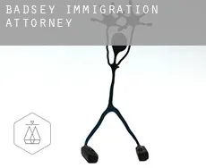 Badsey immigration attorney
