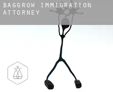 Baggrow  immigration attorney