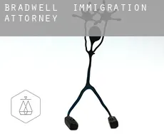Bradwell  immigration attorney