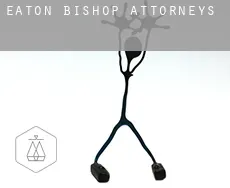 Eaton Bishop  attorneys