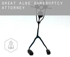 Great Alne  bankruptcy attorney