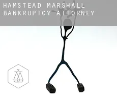 Hamstead Marshall bankruptcy attorney