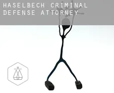 Haselbech  criminal defense attorney