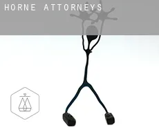 Horne attorneys