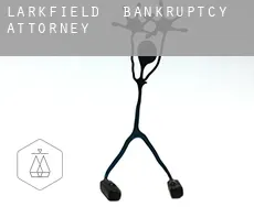Larkfield  bankruptcy attorney