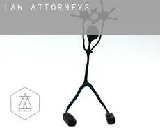 Law  attorneys