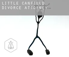 Little Canfield  divorce attorney