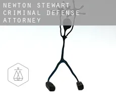 Newton Stewart  criminal defense attorney