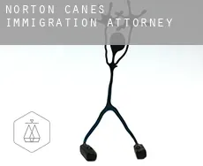 Norton Canes  immigration attorney