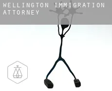 Wellington  immigration attorney