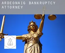 Ardeonaig  bankruptcy attorney