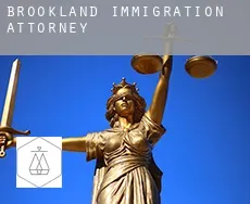Brookland  immigration attorney