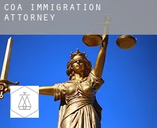 Coa  immigration attorney